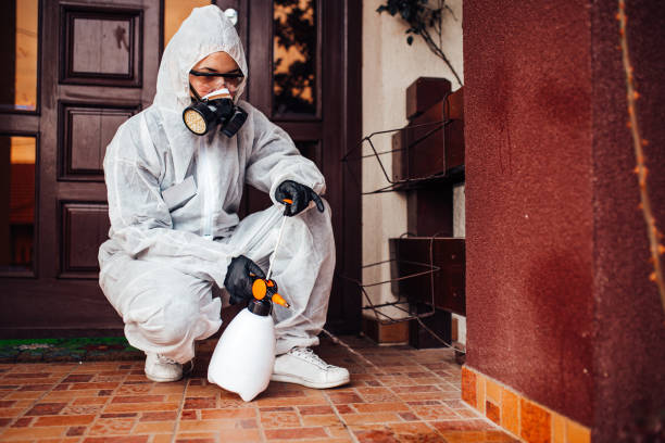 Reliable Mosquito Control contractor in Bear Creek Ranch, TX by Show Me Pest Control